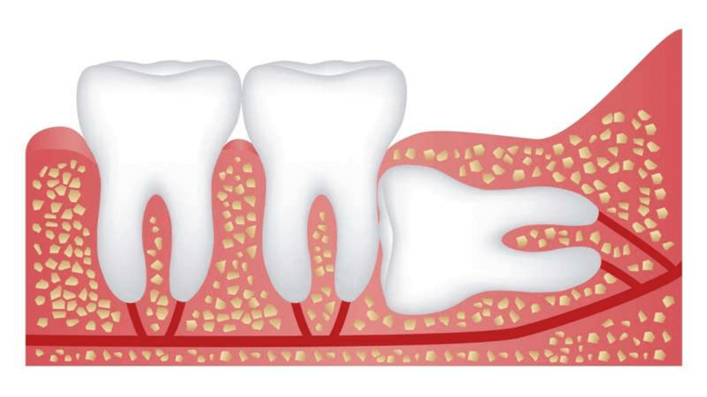Advanced Diagnostic Tools